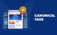 Thẻ Canonical là gì? 7 Sai lầm sử dụng thẻ Canonical Tag trong SEO