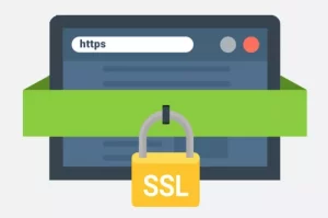 SSL Miễn Ph&iacute; v&agrave; SSL Trả Ph&iacute;: Những Ưu v&agrave; Nhược Điểm M&agrave; Bạn Cần Biết