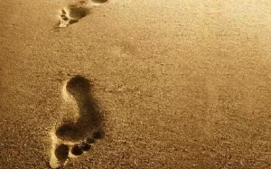 Vườn Ra Trong Ch&iacute;nh Bước Ch&acirc;n Đầu Ti&ecirc;n - Vạn dặm khởi đầu nan