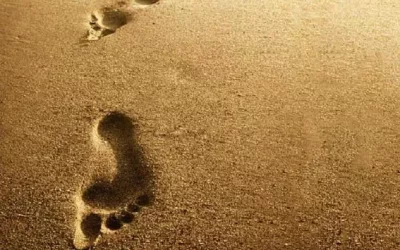 Vườn Ra Trong Chính Bước Chân Đầu Tiên - Vạn dặm khởi đầu nan